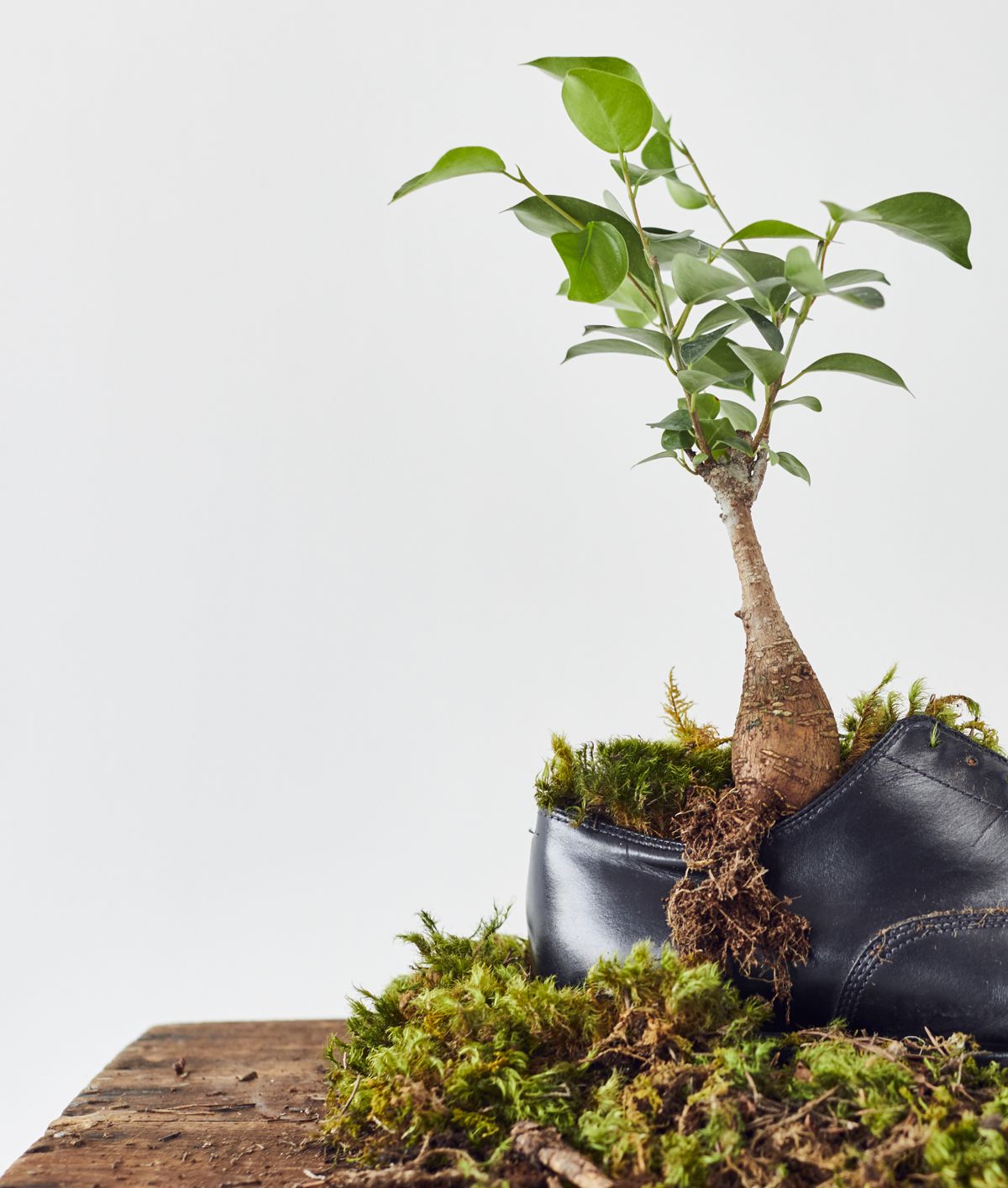 Sustainability through recrafting